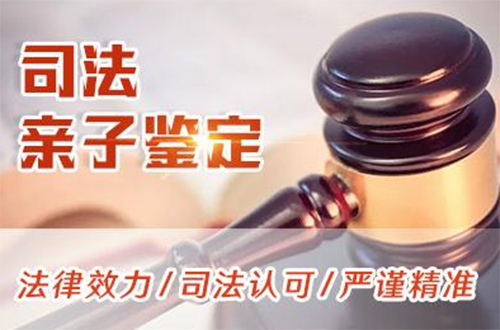 甘孜司法亲子鉴定大概多少费用,甘孜专业的司法亲子鉴定中心