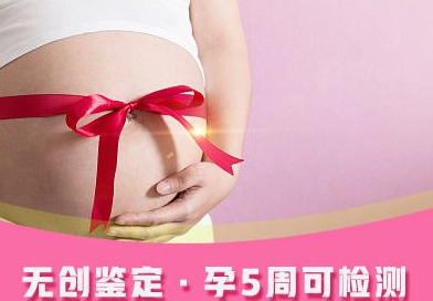 在[甘孜]怀孕几个月要如何办理亲子鉴定,甘孜产前亲子鉴定大概需要多少钱