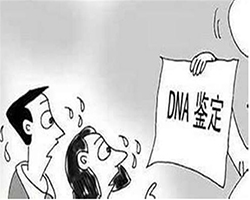 甘孜哪里找正规DNA鉴定中心，甘孜正规的血缘检测中心费用是多少钱